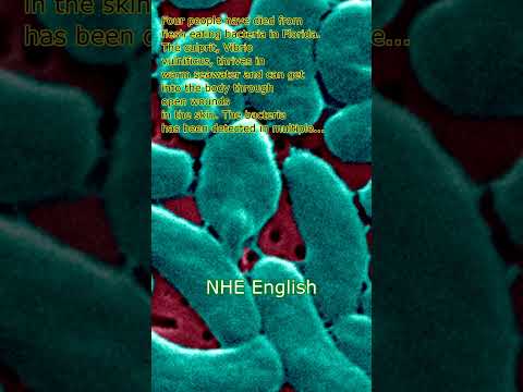 Here's who's at-risk after four die from flesh-eating bacteria in Florida