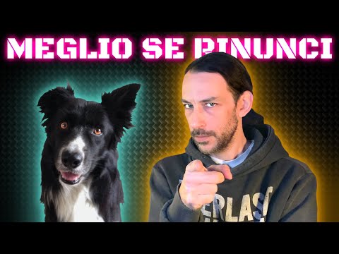 Se ODI una di QUESTE COSE Non PRENDERE un CANE...MAI!!