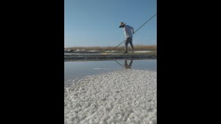 Les Sauniers au fil des saisons
