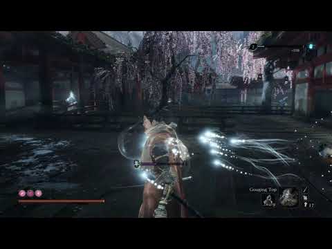 Sekiro™  Shadows Die Twice   youth drain 1