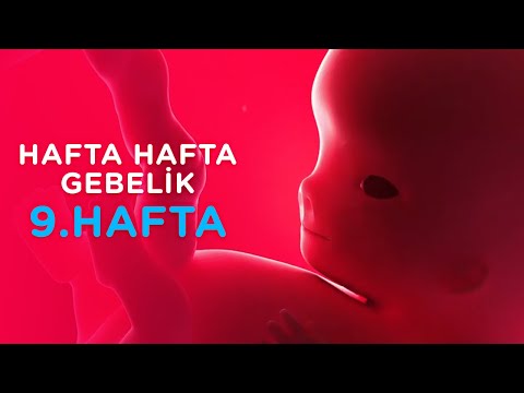 Hamilelikte 9. Hafta - Hafta Hafta Gebelik | İlk Adımlarım