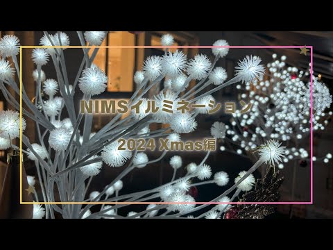 リハビリテーション学科 NIMSイルミネーション2024～クリスマス編～