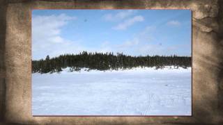 Stompin Tom Connors-Snowmobile Song