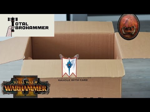 High Elves Make Box, Orcs Break - HE vs Greenskins | Total War Warhammer 2 Quick Battle