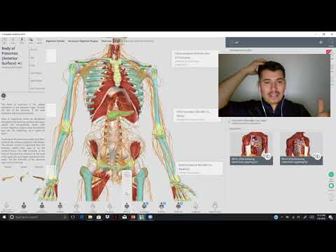 enfermedades o sintomas como comienza todo 714)4233518