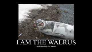 I Am The Walrus Music Video