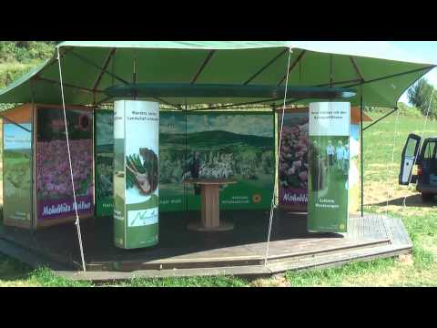 Mohnblüte in Germerode (Werra-Meißner-Kreis)