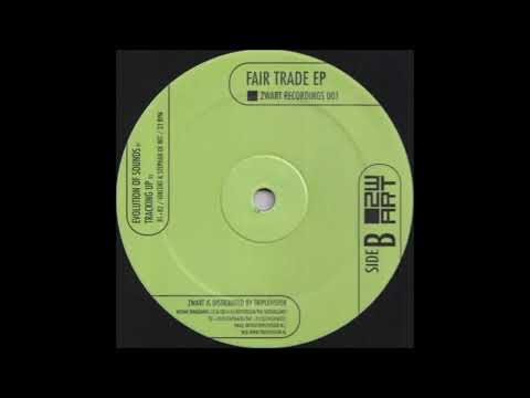 Vincent De Wit & Stephan De Wit - Evolution Of Sounds (B1) [ZWART 001]