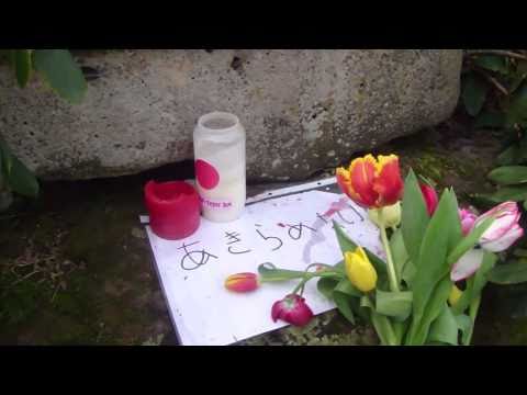 16. März 2011 Der Japanische Garten in Düsseldorf mit Trauer-Bekundung für die Opfer in Japan