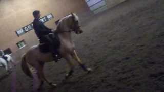 preview picture of video 'Mon moniteur d'équitation de Jussey (partie 1)'