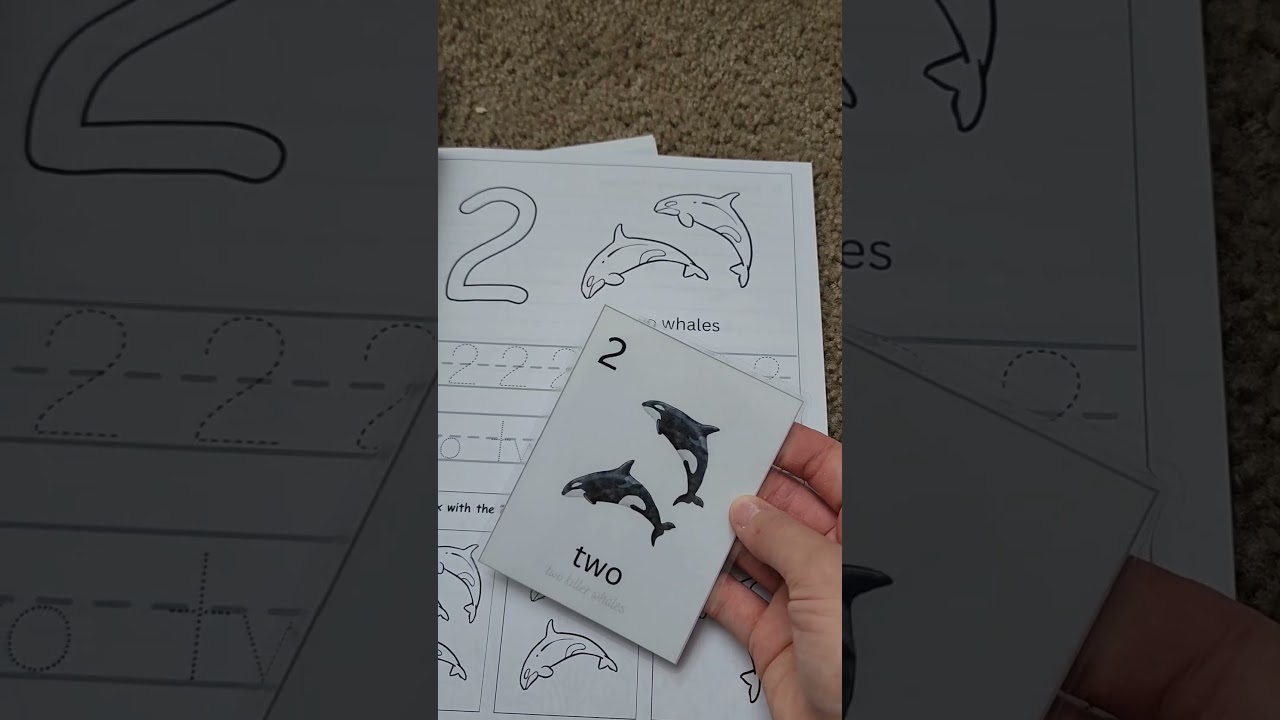 Number Tracing and Activities Workbook #workbook #numberslearningforkids