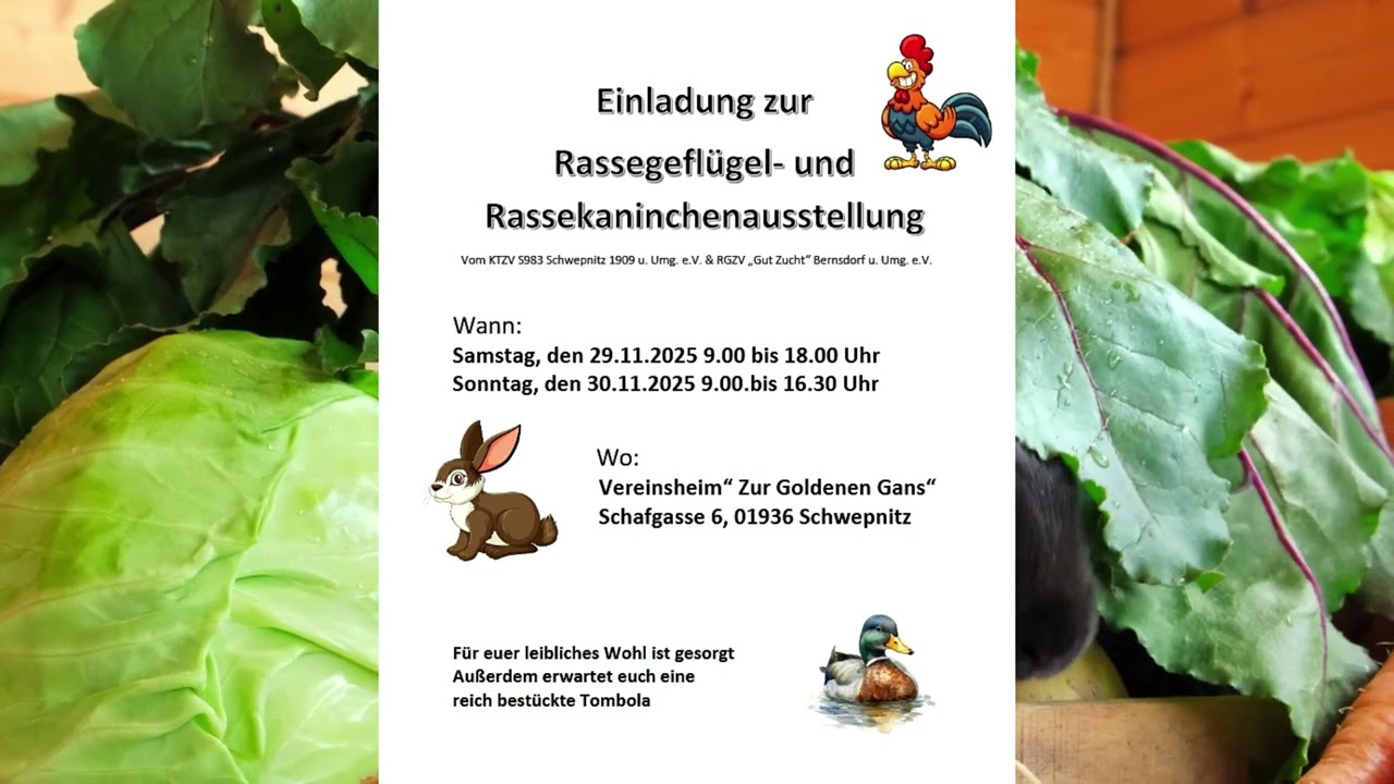 Rassegeflügel & Rassekaninchenausstellung Schwepnitz am  29/30.11.2025