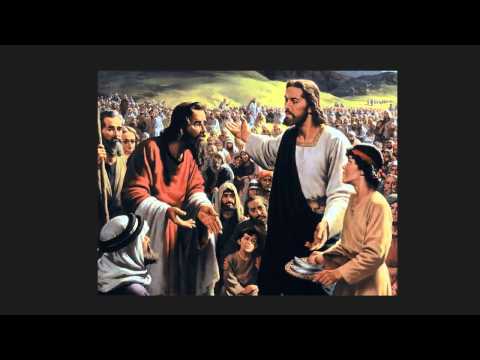 Matthew 14:17-21 Bible teaching