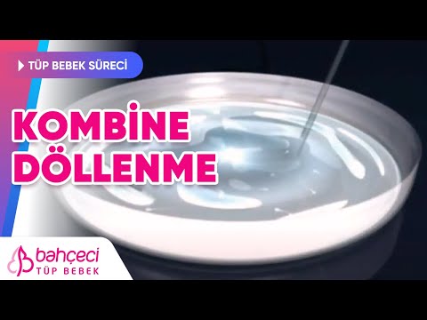 Döllenme – Kombine Döllenme