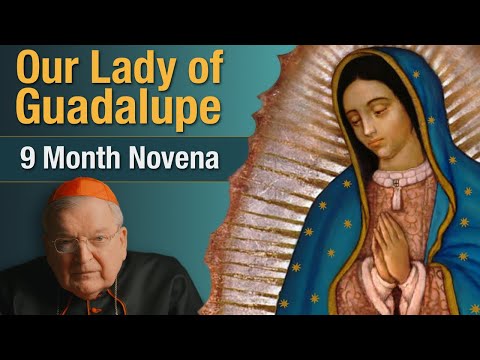 Cardinal Burke Novena To Our Lady of Guadalupe | 9 Month Novena Prayer