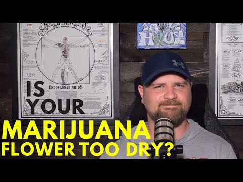 How to Rehydrate Dry Cannabis Flower and the Best Ways to Store It