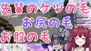 夢月ロア「お股の毛を抜いたのだ？」でびでび・でびる「お尻の毛だよ」【にじさんじ 切り抜き】