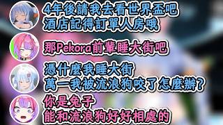 想要Vivi請自己去看世界盃卻被Vivi扔去睡大街的族長！族長：我可能會被野狗吃掉的！【兔田佩克拉×綺綺羅羅薇薇】【hololive中文精華】【ホロライブ切り抜き】【中日字幕|附語法、單詞解釋】