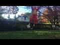 Tigger Jump For Joy