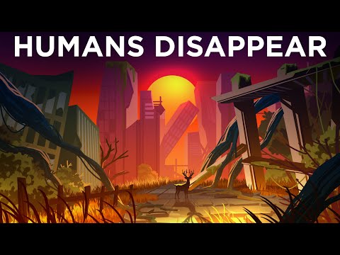What If Humans Suddenly Disappeared?