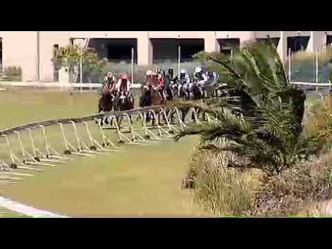 2018 World Sports Betting Fillies Guineas - FRONT AND CENTRE