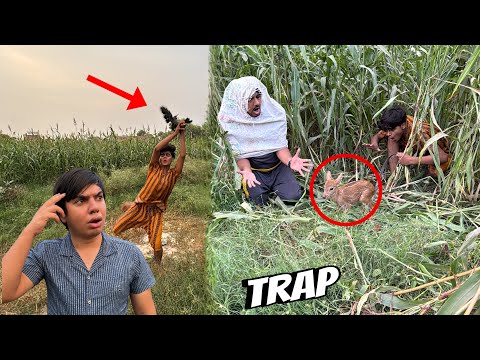 Trap Laga Ky Baby Deer Pakar Li 🥳