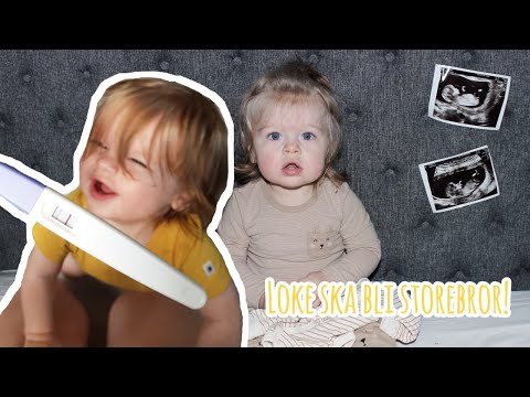 GRAVID IGEN | Från plusset till vecka 13