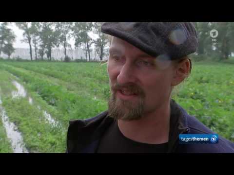 tagesthemen 23:12 Uhr, 29.07.2017