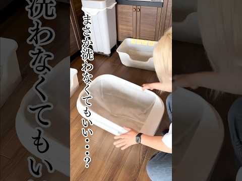 猫砂はどれくらいの頻度で交換する必要がありますか?