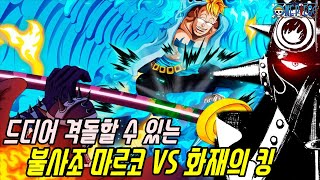 [원피스]드디어 격돌할 수 있는 역대급 대결! 사황최고간부 불사조 마르코 VS 화재의 킹