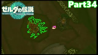 【34】ぼっち勇者の天空探検【ゼルダの伝説ティアーズオブザキングダム】