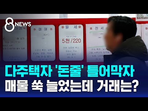 다주택자 &#39;돈줄&#39; 틀어막자…매물 쑥 늘었는데 거래…