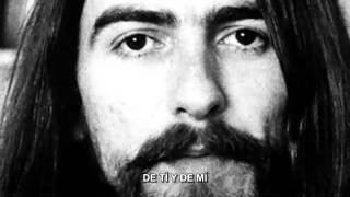 RINGO STARR - NEVER WITHOUT YOU(subtitulado)