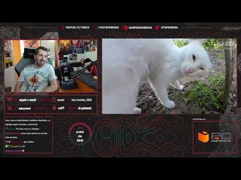 TJI REAGE A DIA A DIA DE UM GATO