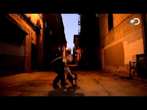 American Underworld - Into the Underworld