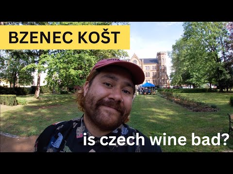 Czech Wine... Good or Bad? České víno... Dobré nebo špatné? S ČESKYMI TITULKY