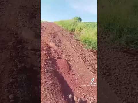 Estradas abandonadas em Nova Santa Barbara (PR)