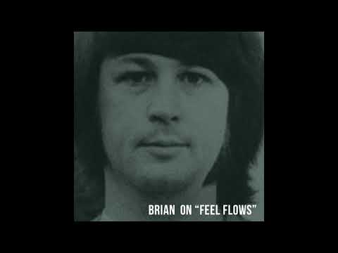 Brian Wilson on "Feel Flows"