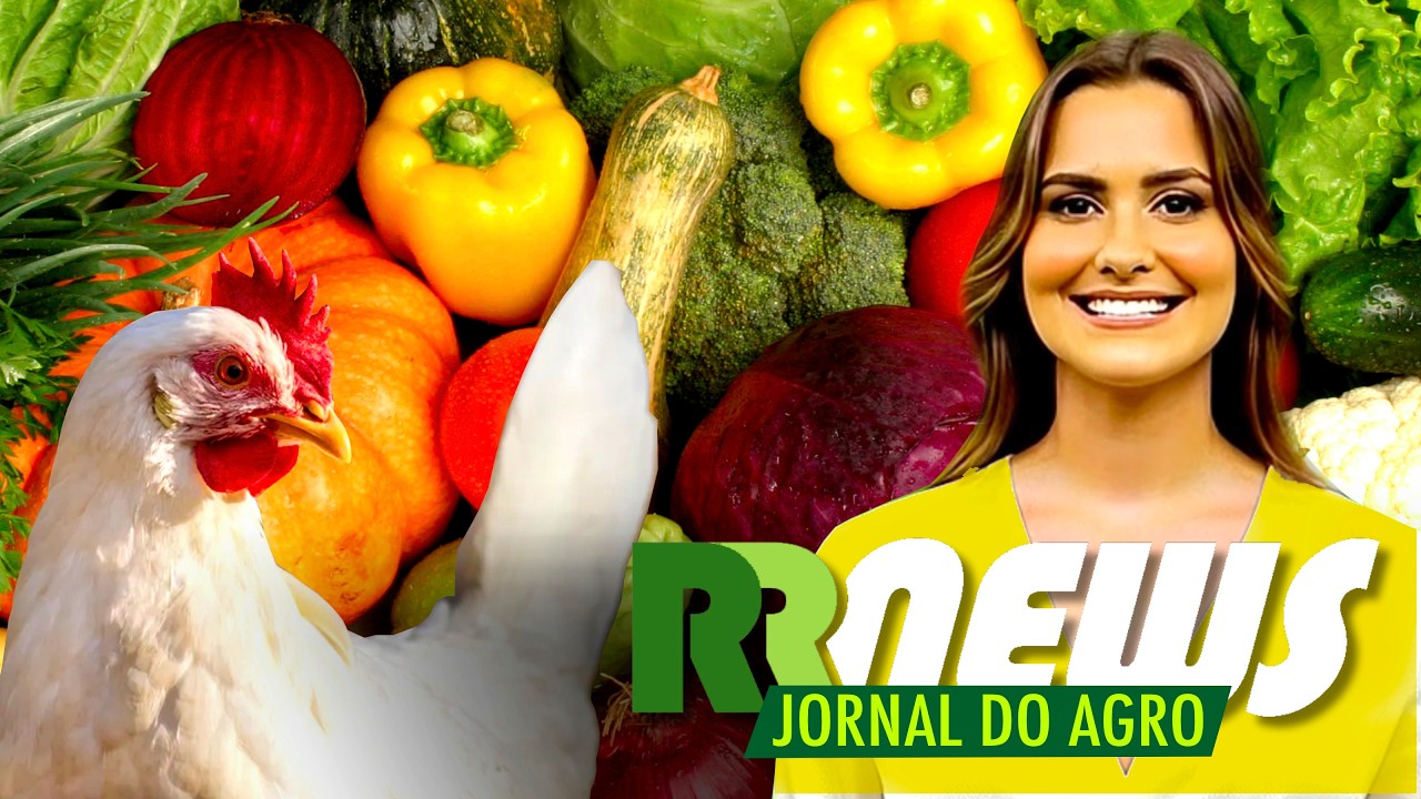 RRNEWS - O Jornal do Agro - 08/08/2026