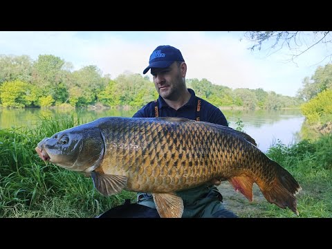 Haldorado FEEDER fishing on the wilde river Sava big carp with Amir Taletovic