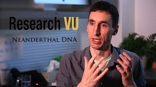 Neanderthal DNA has subtle but significant impact on human traits – D8vYSiKE3E4