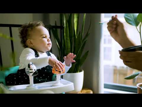 Baby Einstein - Dine discover multi use