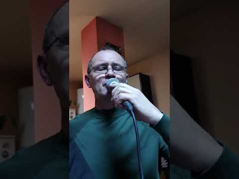 Bebe Radu Dragomir si Adrian Stanca