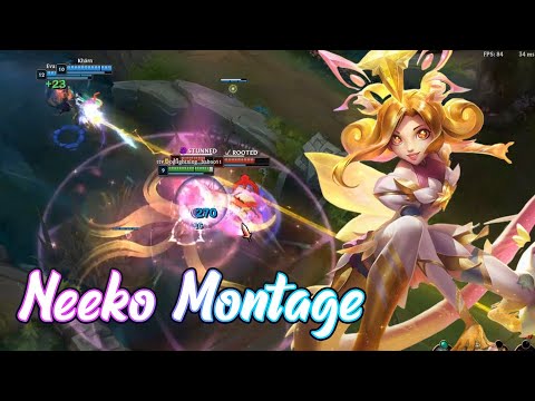 Dogtage - Doglightning best master Neeko plays!