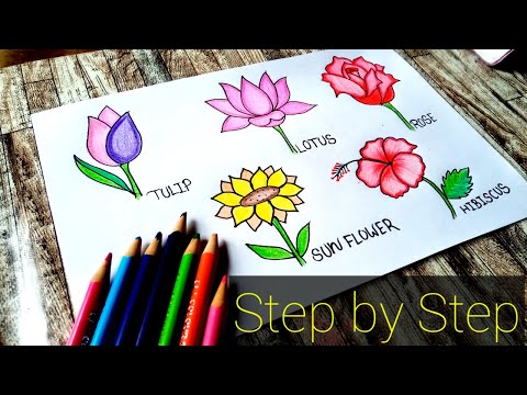 How To Draw A Five Flowers Step BY Step Easy Way / Tulip, Rose, Sun flower, Lotus & Hibiscus / Draw