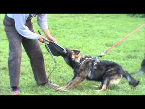 Isabella z Jukasu - protection - 7,5 months