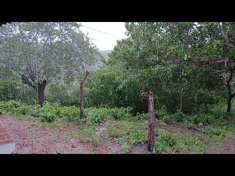 chuva sertão de martinopole Ceará 