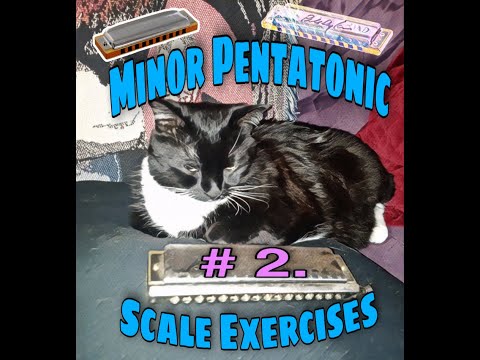 Minor Pentatonic Scale Exercises #1 (Video 2)
