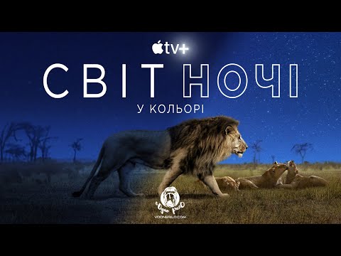 Світ ночі у кольорі / Earth at Night in Color - трейлер до док. серіалу