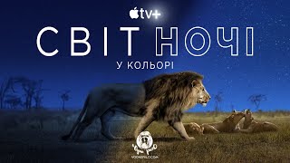 Світ ночі у кольорі / Earth at Night in Color - трейлер до док. серіалу